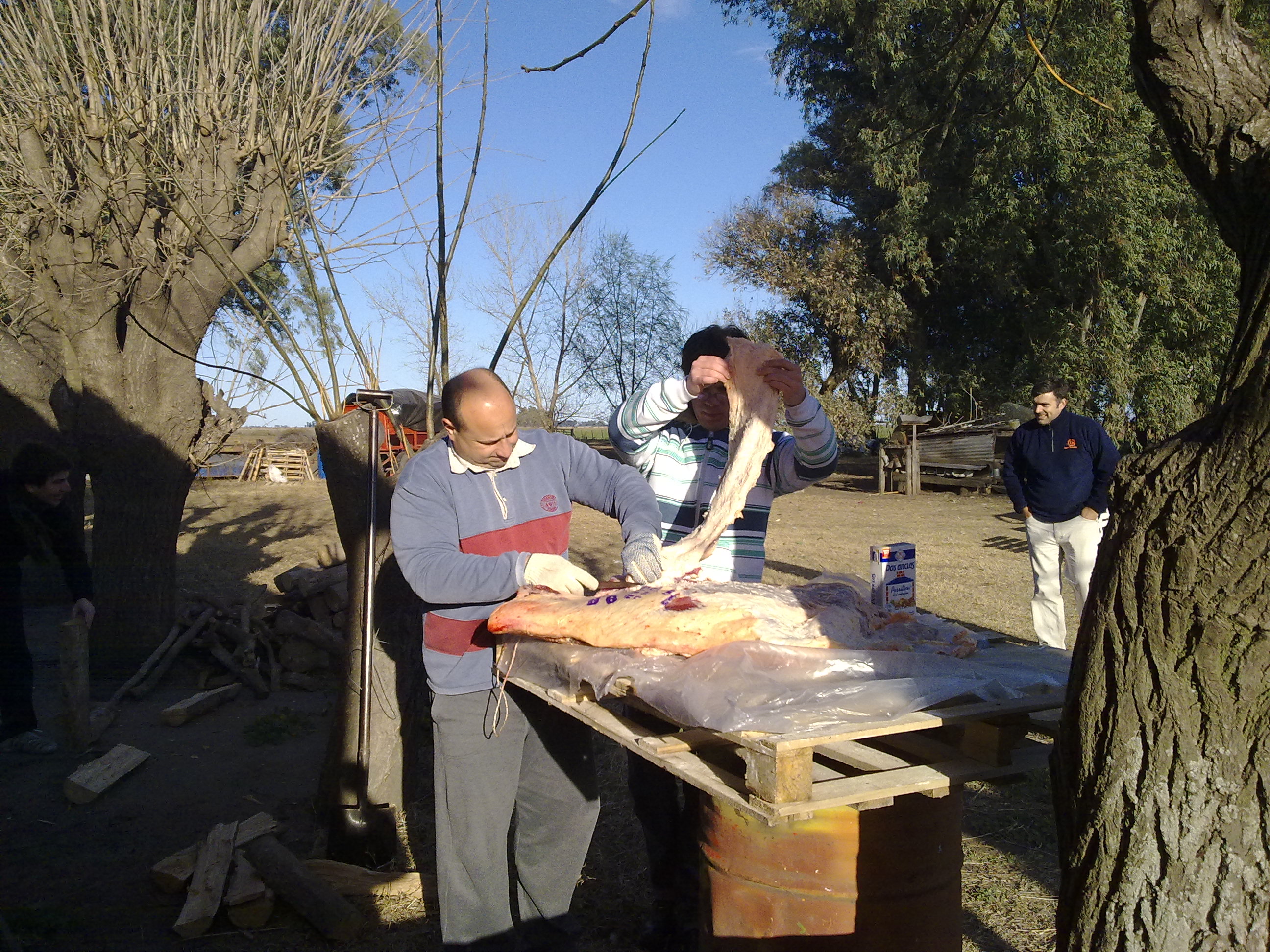 fotos/2010-08-29 - Cumple coco/29082010578.jpg